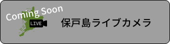 保戸島ライブカメラ